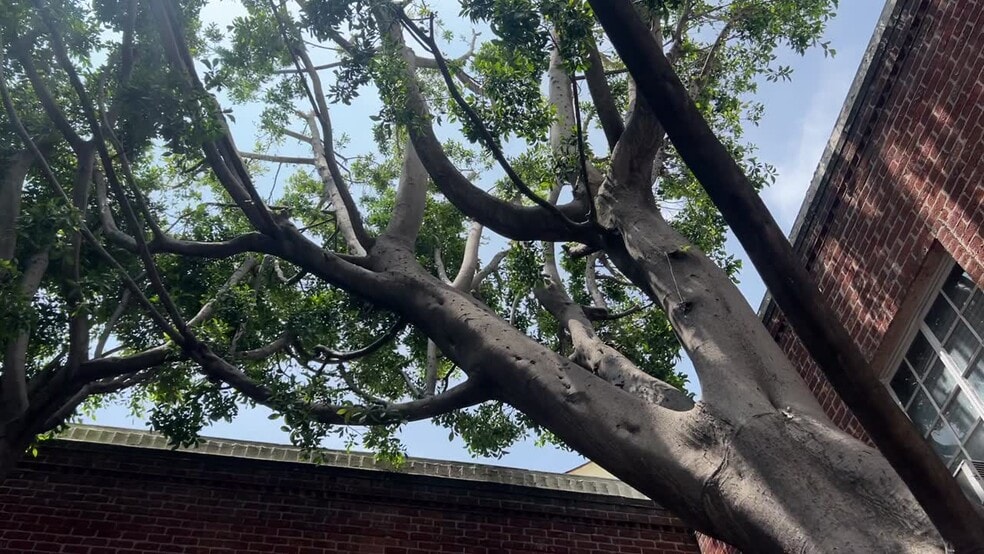 9730-9732 Wilshire Blvd, Beverly Hills, CA for lease - Commercial Listing Video - Image 2 of 39