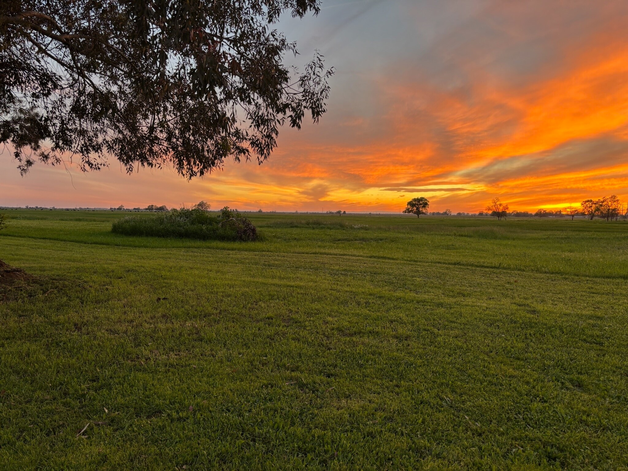 3027 W Wise Rd, Lincoln, CA for sale Primary Photo- Image 1 of 36