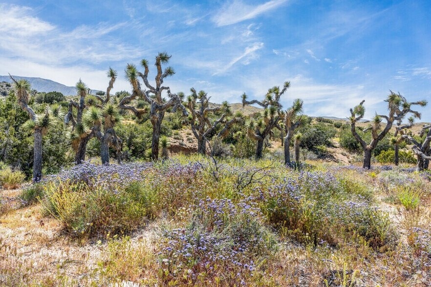 23103 Yucca Circle Rd, Llano, CA for sale - Building Photo - Image 3 of 3