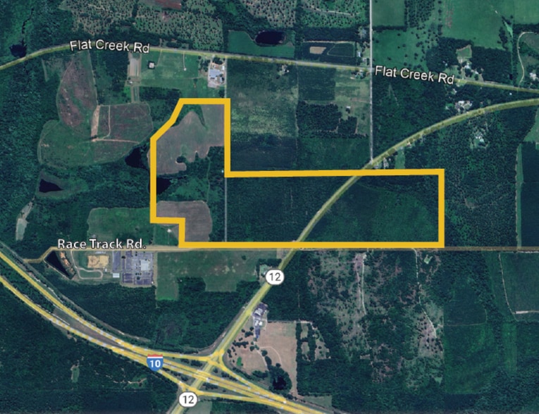 245 Thomas Smith Farm rd, Quincy, FL for sale - Primary Photo - Image 1 of 2