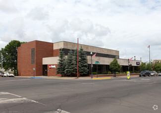 Plus de détails pour 211 E Howard St, Hibbing, MN - Bureau à louer