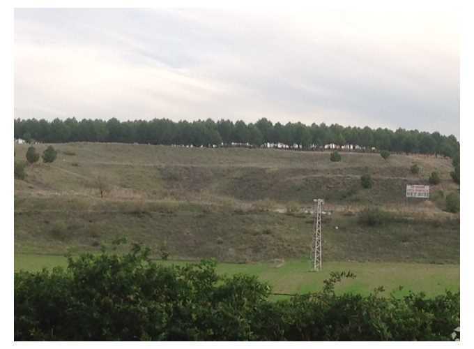 Carretera M-206, Loeches, Madrid for sale - Building Photo - Image 3 of 5