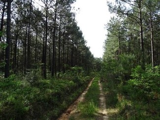 Plus de détails pour Courtney Rd, Lumberton, MS - Terrain à vendre