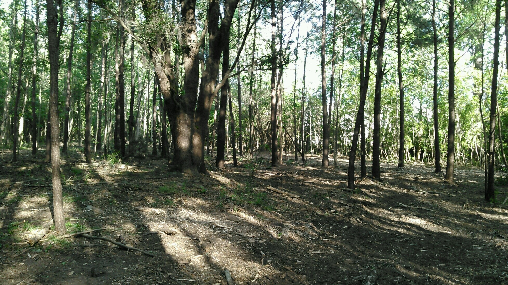 116 Sharon Ct, Pooler, GA à vendre Autre- Image 1 de 7