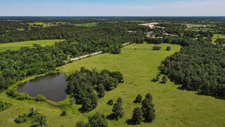 Plus de détails pour TBD 149 Hwy, Montgomery, TX - Terrain à vendre