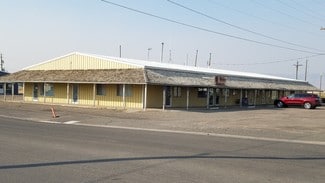 More details for 101 Carson Rd, Battle Mountain, NV - Retail for Sale