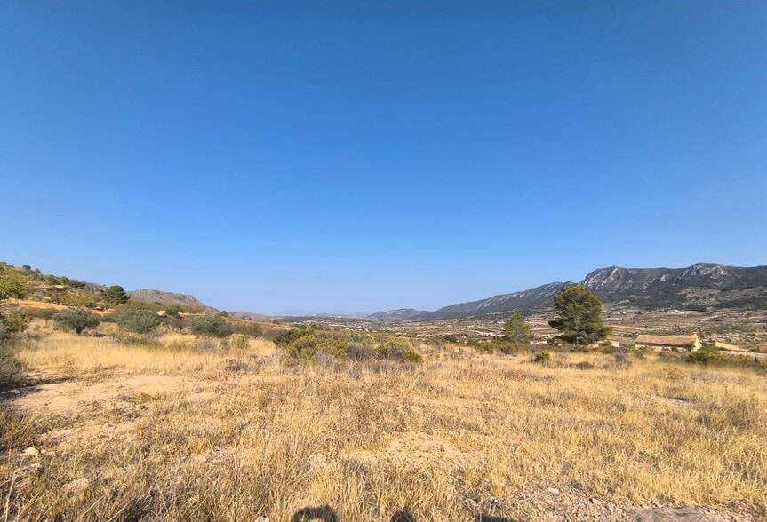 Terrain dans Algueña, Alicante à vendre - Photo principale - Image 2 de 4
