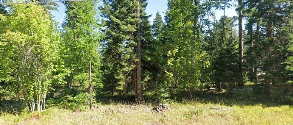 595 Wapiti ln, Bigfork, MT for sale - Other - Image 3 of 7