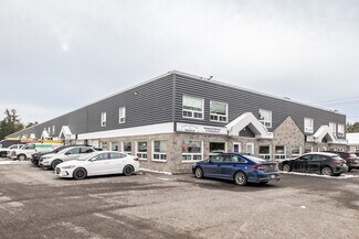 More details for 81 Auriga Dr, Ottawa, ON - Flex for Lease