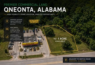 Plus de détails pour 1115 2nd Ave E, Oneonta, AL - Terrain à vendre