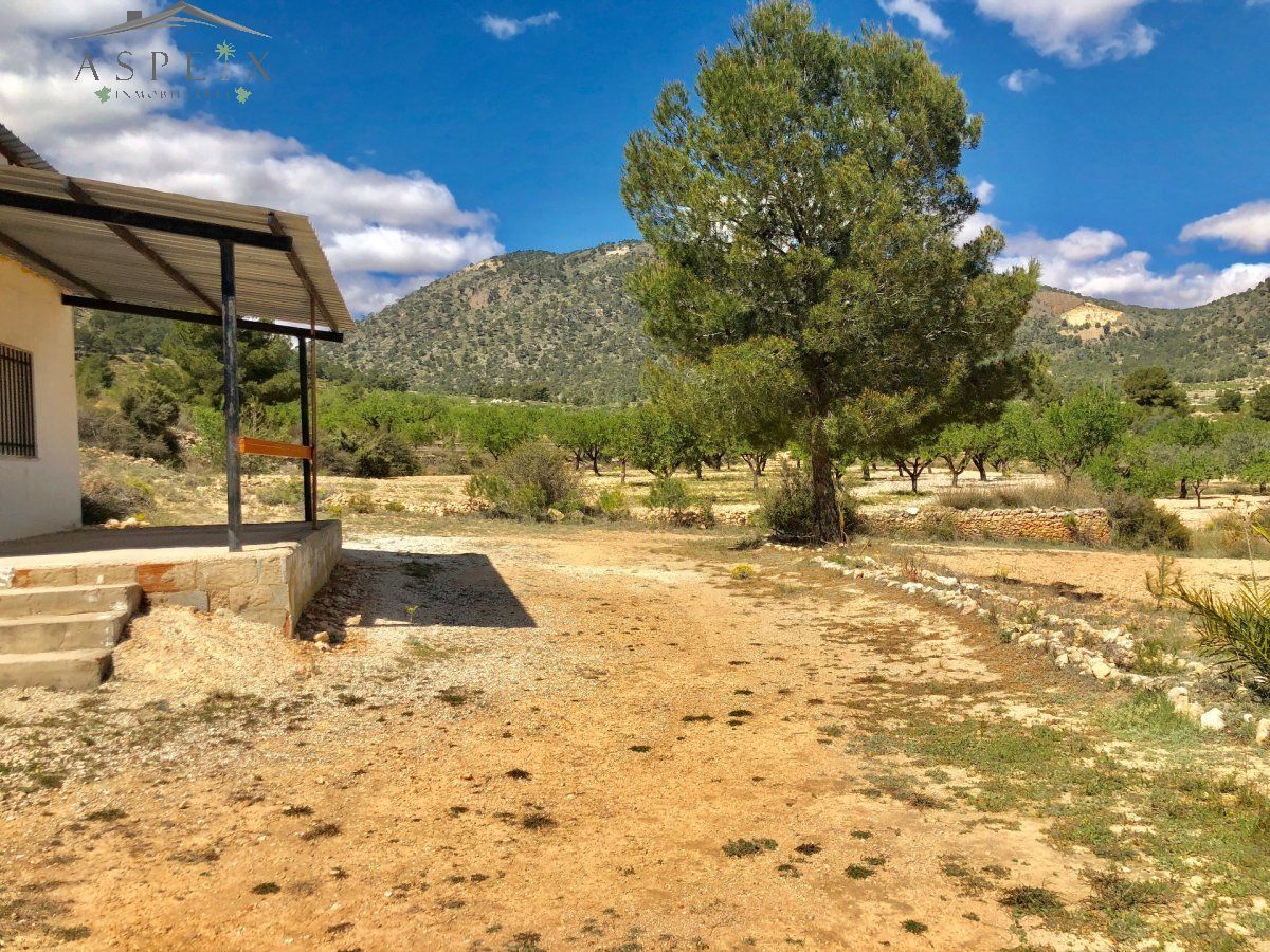 Land in MONÒVER, Alicante for sale Building Photo- Image 1 of 7