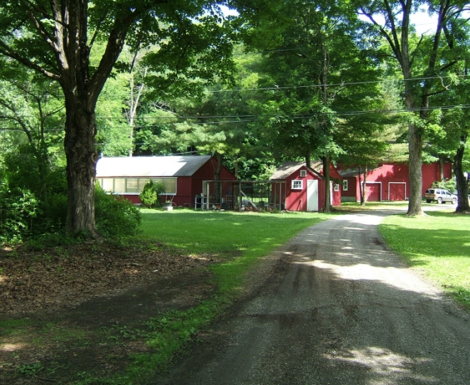 247 Dover Furnace Rd, Dover Plains, NY à vendre - Photo principale - Image 1 de 1