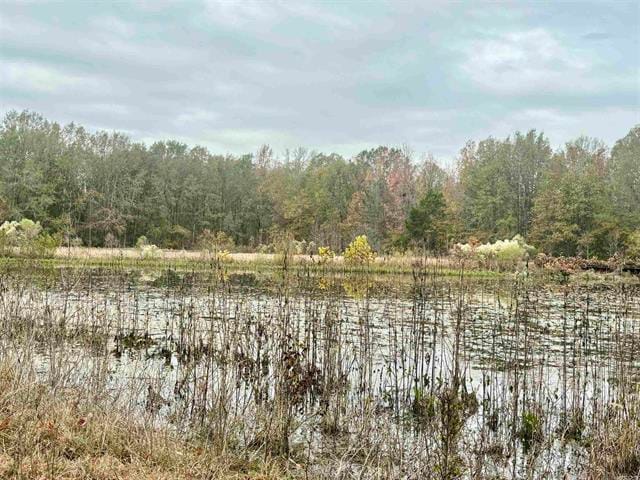 293 E Sidney Noble Ln, DeWitt, AR à vendre Autre- Image 1 de 50