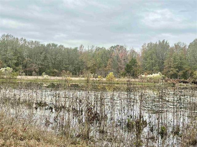 293 E Sidney Noble Ln, DeWitt, AR for sale Other- Image 1 of 50