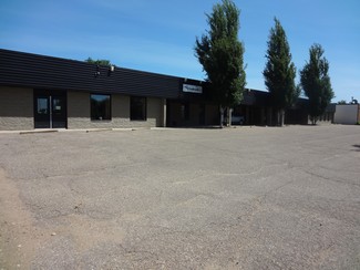 Plus de détails pour 308 2nd Av, Bassano, AB - Vente au détail à vendre