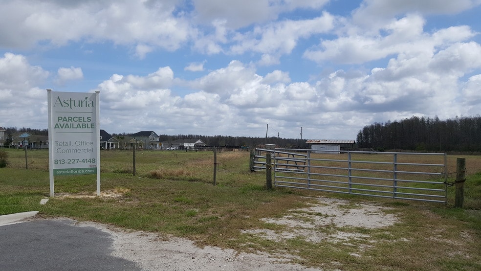 State Road 54, Odessa, FL à vendre - Autre - Image 3 de 6