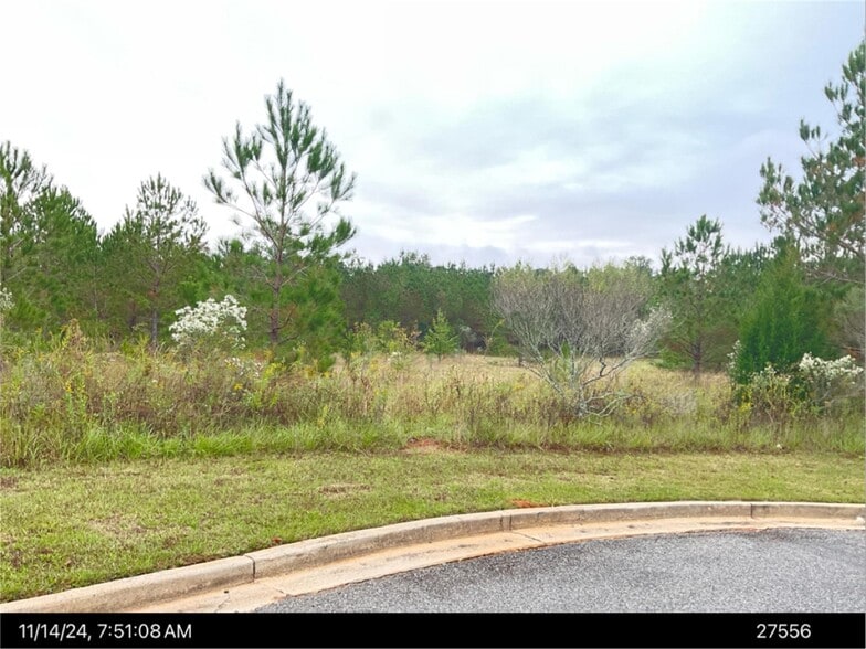 N. Hwy 41 @ Osigian Blvd., Warner Robins, GA for sale - Building Photo - Image 2 of 3