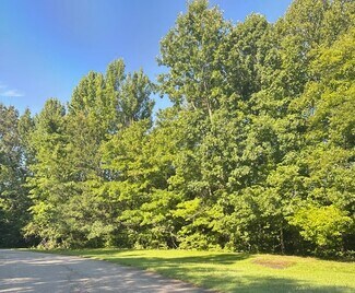 More details for Jenny Lane 46 Acre Tract, Danville, VA - Land for Sale