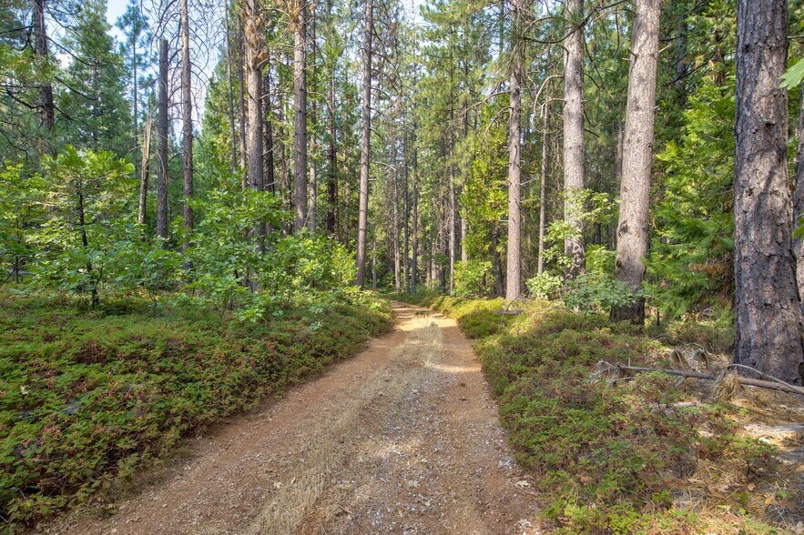 Mountain Dew Lane, Somerset, CA for sale - Building Photo - Image 3 of 56