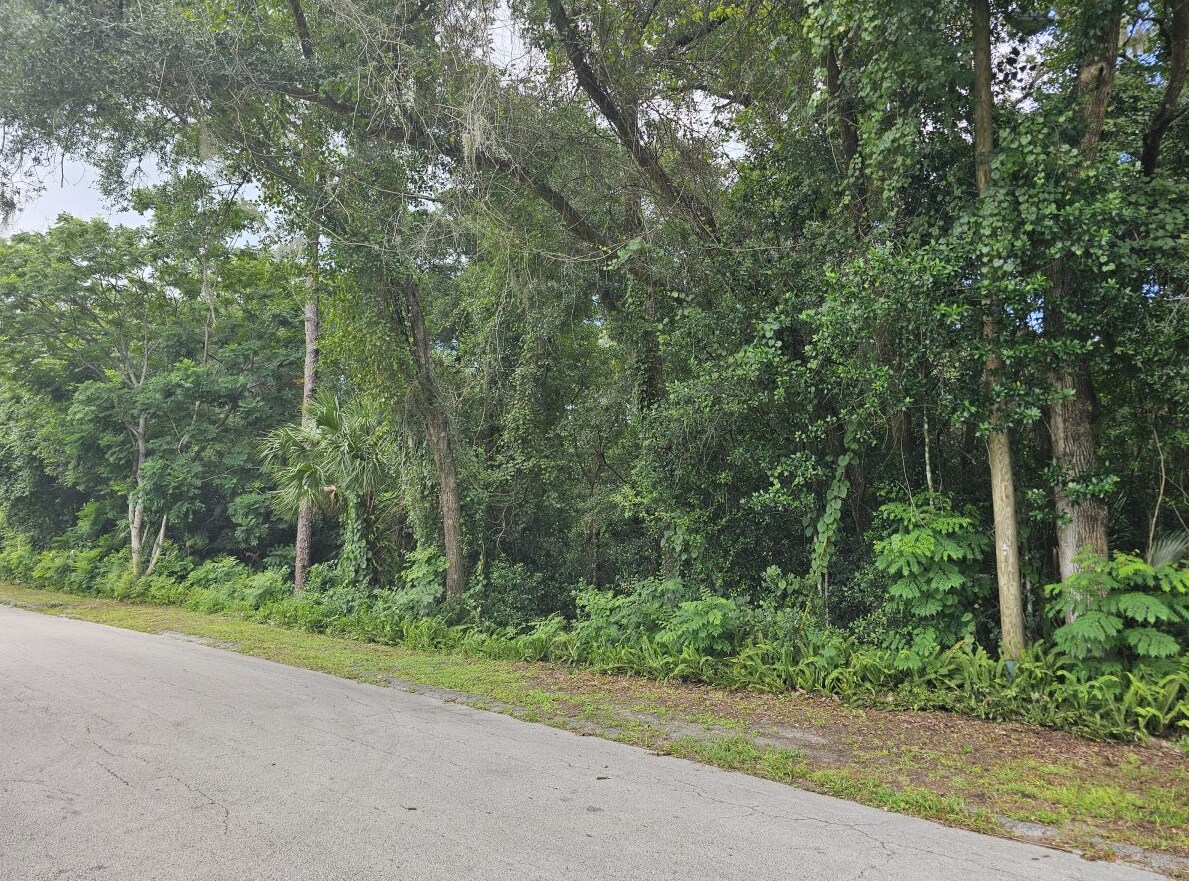 N Carpenter Ave, Orange City, FL à vendre Photo principale- Image 1 de 3