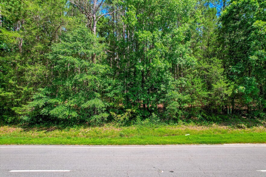 0 US 378 and Ann Scott Drive hwy, Lincolnton, GA for sale - Building Photo - Image 3 of 22