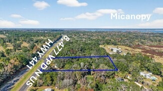 More details for 21121 Highway 441 N, Micanopy, FL - Land for Sale