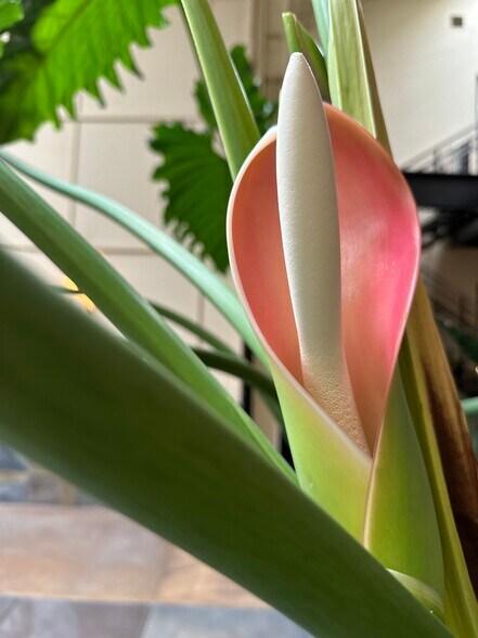 111 Rhode Island St, San Francisco, CA for lease - Building Photo - Image 3 of 21