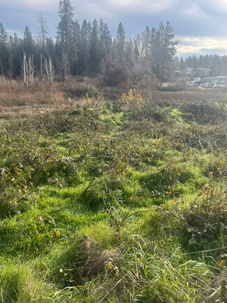 More details for South Auburn Street, Grass Valley, CA - Land for Sale