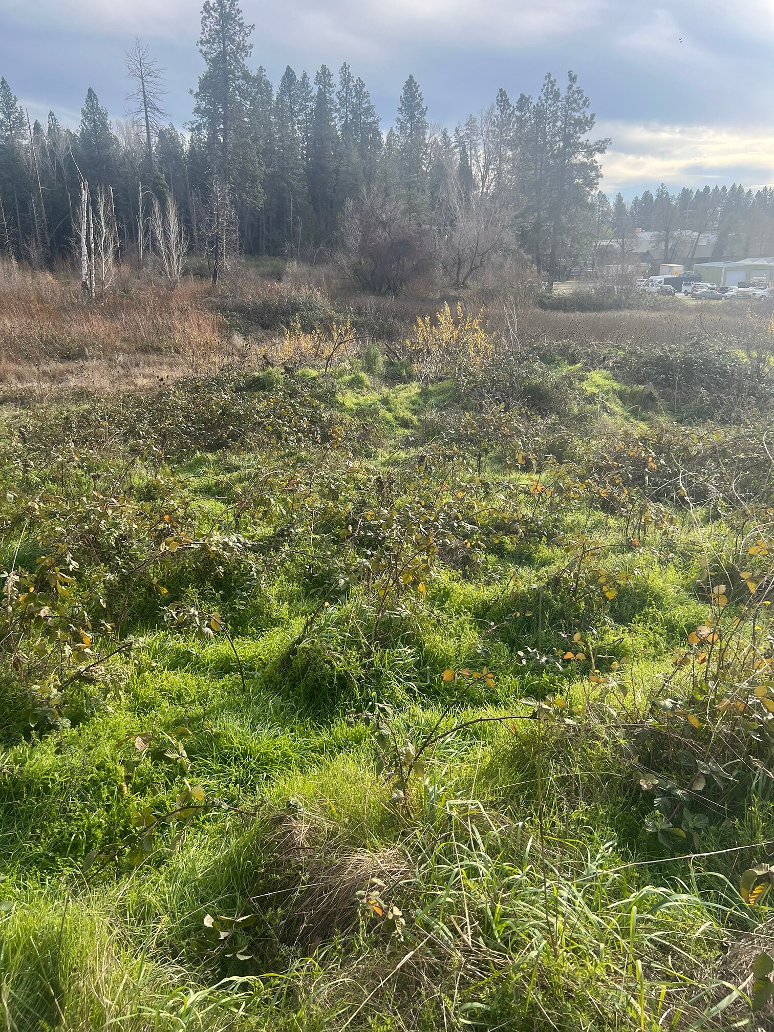 South Auburn Street, Grass Valley, CA à vendre Photo principale- Image 1 de 2