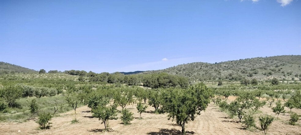 Terrain dans Yecla, Murcia à vendre - Aérien - Image 2 de 6