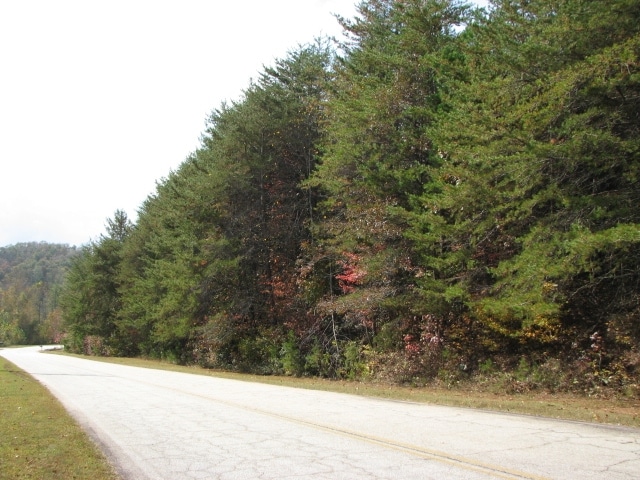 0 Torrington Rd, Dahlonega, GA à vendre - Autre - Image 2 de 2