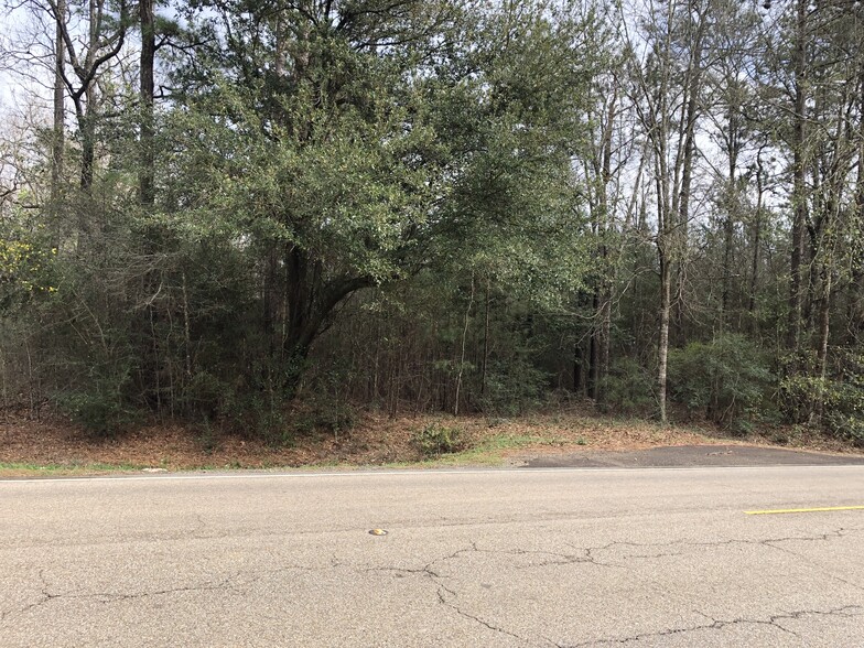 Hwy 190 and Hwy 22, Mandeville, LA for lease - Building Photo - Image 1 of 4