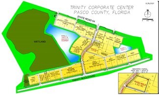 Plus de détails pour 2120 Corporate Center Dr, Trinity, FL - Terrain à vendre