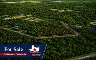 More details for 9102 Blue Lake dr, Plantersville, TX - Land for Sale