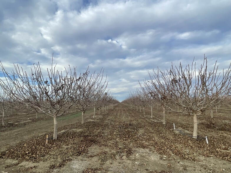 45900 Block Shields Ave, Firebaugh, CA à vendre - Photo principale - Image 2 de 9