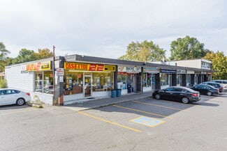 Plus de détails pour 2993-3011 Sheppard Ave E, Toronto, ON - Commerce de détail à louer