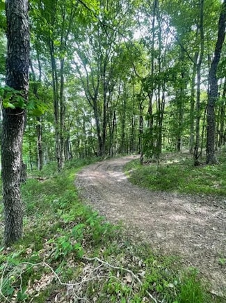 More details for 0 Spruce Ln, Burgettstown, PA - Land for Sale