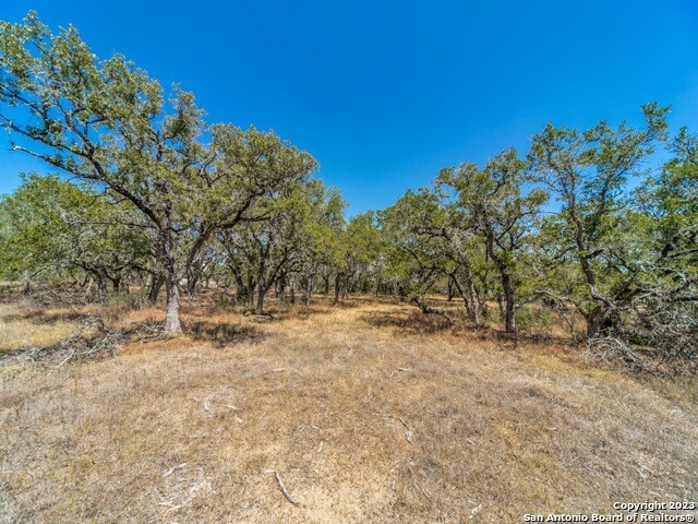 680 Annabelle Ave, Bulverde, TX à vendre - Photo principale - Image 1 de 11