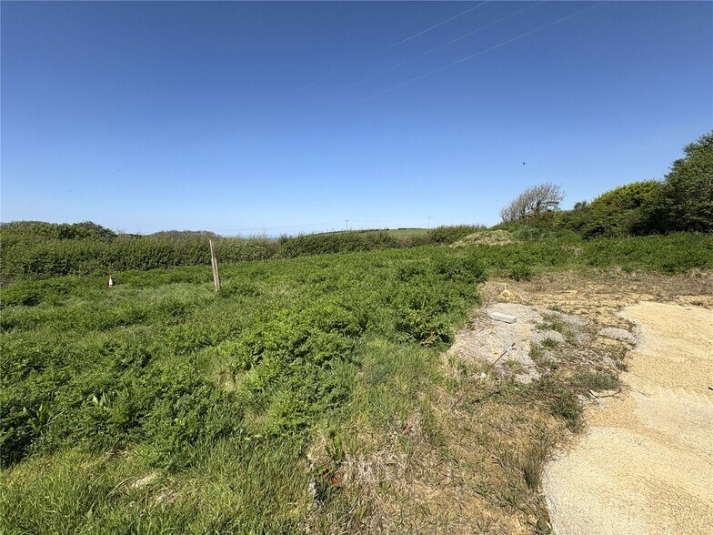 A39, Poundstock à vendre - Autre - Image 2 de 10