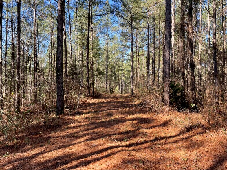 0 Crane Road, Dawsonville, GA à vendre - Photo du bâtiment - Image 2 de 8