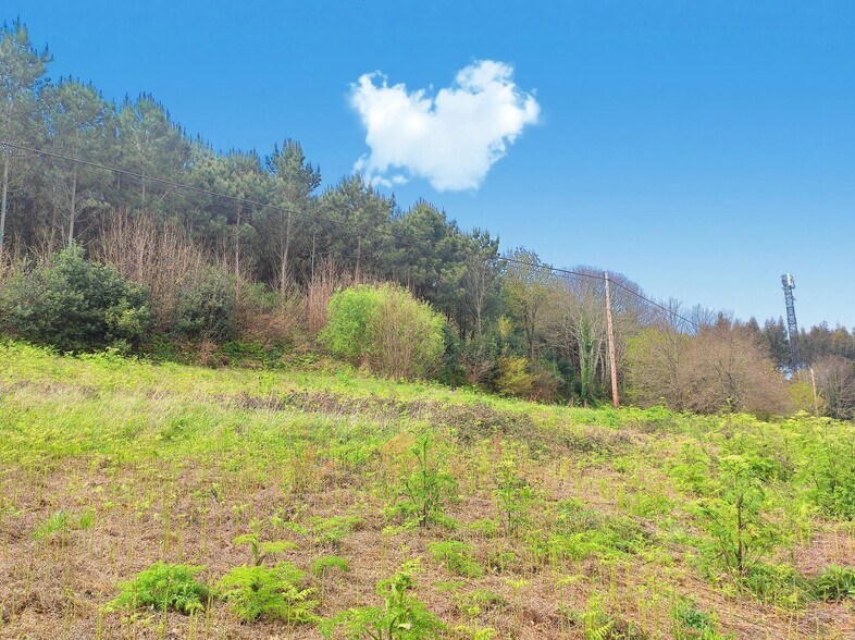 Lugar Cabrois, S/N, Carral, La Coruna for sale - Primary Photo - Image 1 of 7