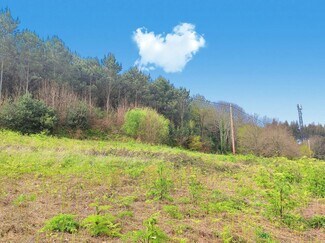 More details for Lugar Cabrois, S/N, Carral - Land for Sale