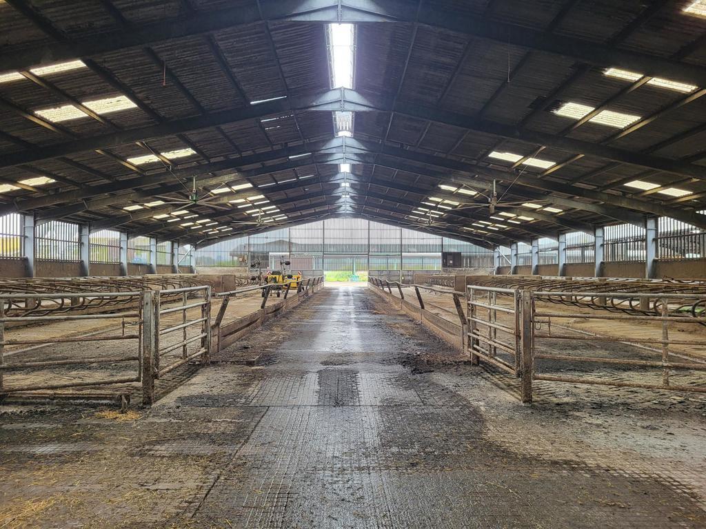 Waterditch Road, Christchurch for lease Interior Photo- Image 1 of 2