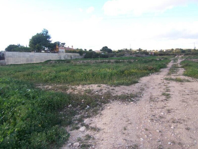 Terrain dans Elche, Alicante à vendre - Plan de site - Image 2 de 16
