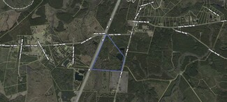 Plus de détails pour 156 AC US 17 Hwy, Townsend, GA - Terrain à vendre