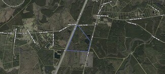 Plus de détails pour 156 AC US 17 Hwy, Townsend, GA - Terrain à vendre
