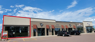 Plus de détails pour 2301 W Trevi Pl, Sioux Falls, SD - Vente au détail à louer