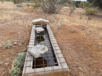 Plus de détails pour Bermejo, Botija, Tipo, 1953, Cáceres - Terrain à vendre