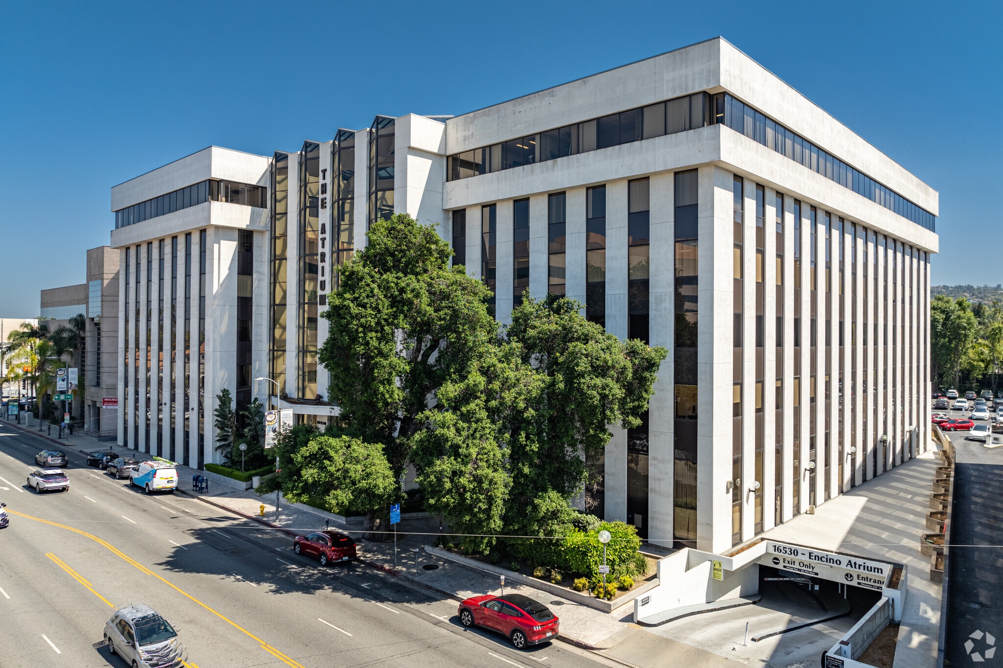 16530 ventura Blvd, Encino, CA for lease Primary Photo- Image 1 of 7
