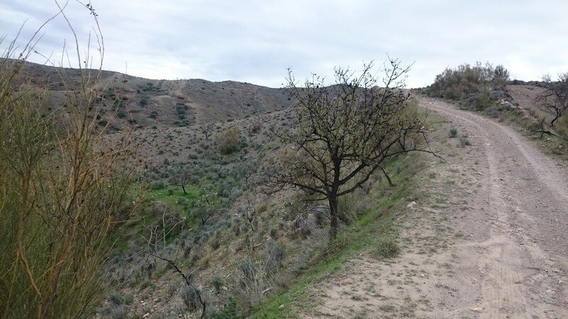 Arroyo Aceituno, Cantoria, Almería à vendre - Photo principale - Image 3 de 3